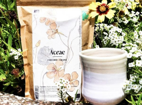 Chicorée Aceae - Chicorée Aceae Bio - Grains 250 g