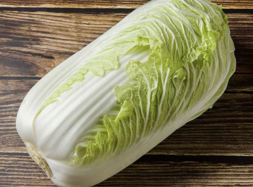 L'OLIVERAIE DU COUDON - CHOUX CHINOIS