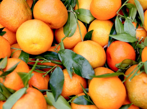 L’Oliveraie du Coudon - CLEMENTINE 2KG