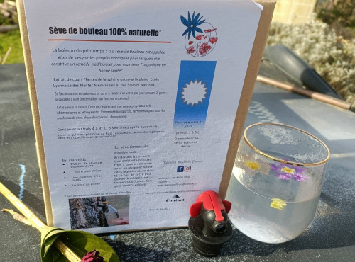 Rébecca les Jolies Fleurs - Cure Sève de Bouleau fraîche 3l