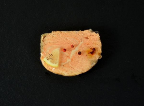 Poissonnerie Robert - Médaillon de saumon