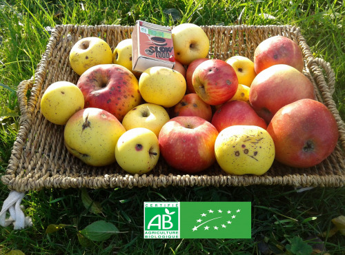 LES JARDINS DE KARINE - POMMES "visitées"-en mélange-3kg