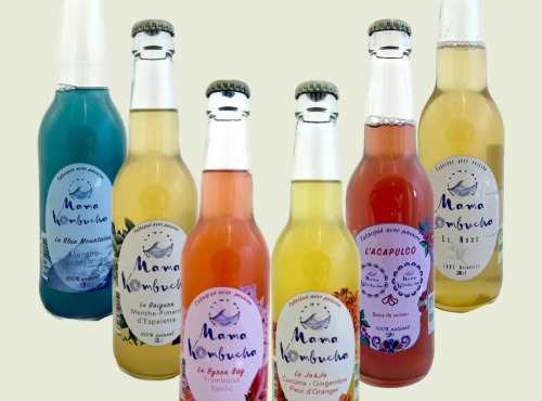 Mama Kombucha - LE PACKOMBUCHA 33cl - 6 bouteilles