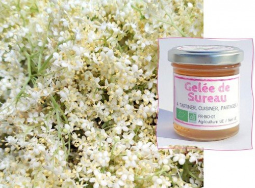 L'Agricueilleur du Suzon - Gelée de sureau Bio