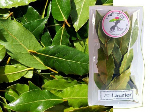 L'Agricueilleur du Suzon - Feuilles de laurier Bio