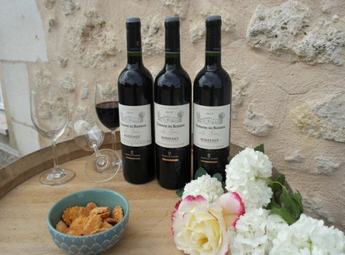 Domaine du Buisson - Trilogie de vins AOP Bordeaux - 2016-2018-2019 3x75cl