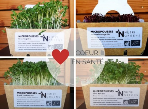 Ma Micropousse culinaire - Pack Coeur en santé (brocoli, chou rouge, Kale, Amaranthe) 200g