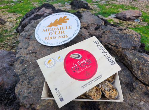 Jean Luc Le Gall Huîtres et Coquillages - Huitres Creuses Fines Bretagne LA BREIZH N°1 X 48 PIECES