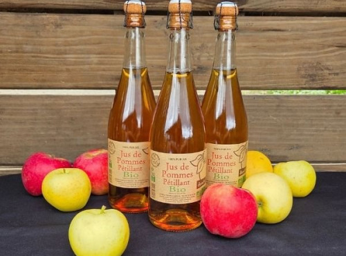 Le verger bio de Quinsac - Lot de 3 Jus pétillant de pomme 75cl BIO et DEMETER