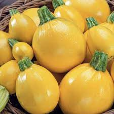 La Ferme de Milly - Anjou - Panier spécial courgettes- Bio - 10kg