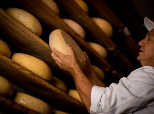 Le Moulin Gourmand - Fromage de Bethmale au Lait Cru de Vache & Chèvre - 500g
