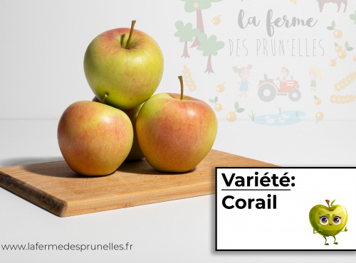 La Ferme des Prun'Elles - pomme Corail