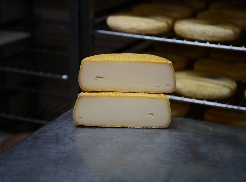 Alléosse Maitre Artisan Affineur Fromager - Lou Bren Artisanal pur brebis du Larzac (entier)