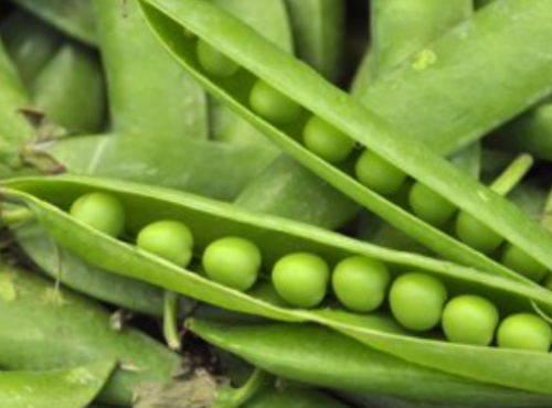 Le Châtaignier - Petit Pois - Colis De 2 Kg