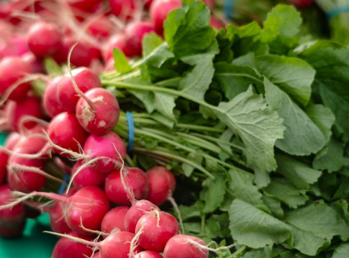 Nature et Saveurs - Ferme Aquaponique et Permacole Astérienne - Radis rond rouge en botte - 1kg