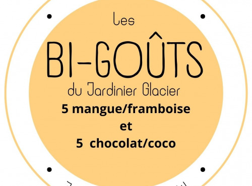 Le Jardinier Glacier - Lots de 10 glaces et sorbets bi-goûts