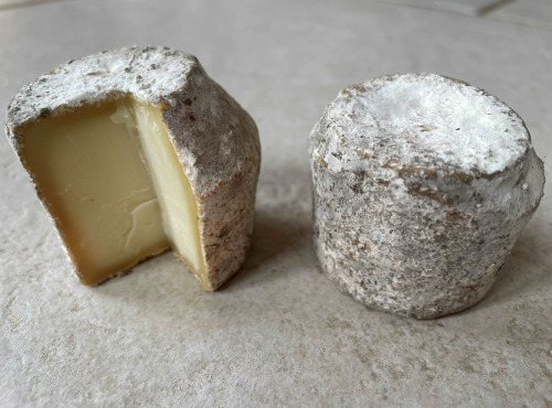 La Guyotte Ferme Bressane - Le cabrion -  fromage de chèvre sec par 12