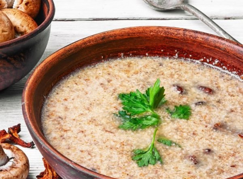 Les champignons de Vernusse - Velouté de pleurotes gris