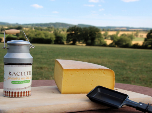 Ferme des Petits Monts - Raclette fermière NATURE BIO au lait cru - Part de 0,5 kg