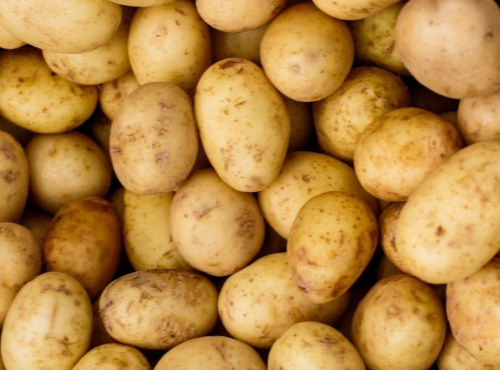 Maréchal Fraicheur - Pommes de terre Marabel BIO - 1 kg