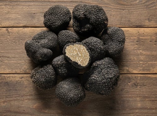 Plantin - L'art de la truffe depuis 1930 - Truffes de Bourgogne entières, fraîches