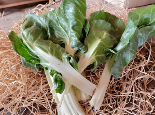 Les Jardins de Gérard - Feuilles de Blette Bio - 500 g