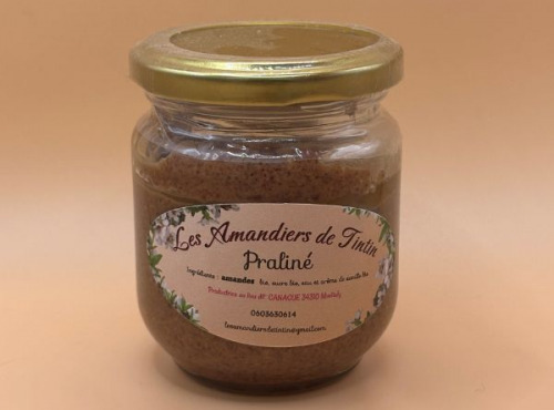 Les Amandiers de TinTin - Praliné 150g