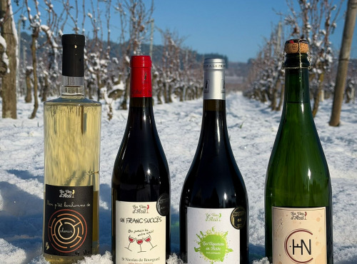 Domaine de la Perrée - Saint Nicolas de Bourgueil - Pack Hiver 12 bouteilles