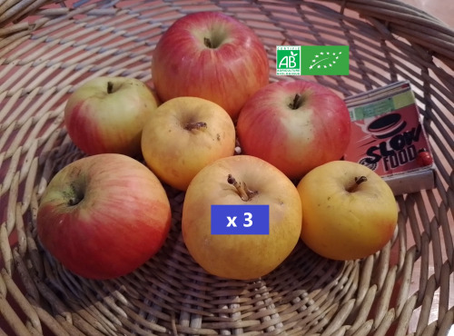 LES JARDINS DE KARINE - Pommes rouges et jaunes à croquer - 3kg