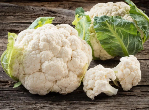 Nature et Saveurs - Ferme Aquaponique et Permacole Astérienne - Chou-fleur – finesse blanche et grain serré