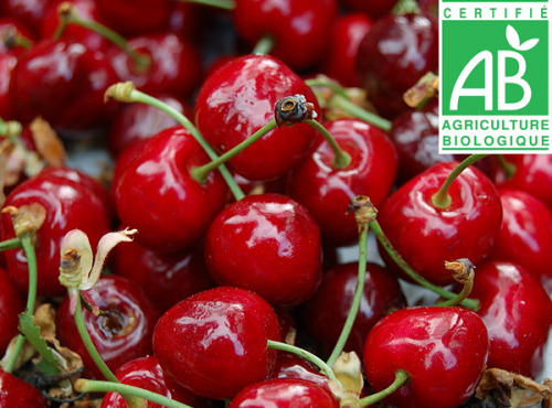 Mon Petit Producteur - Cerise Bio (500g)