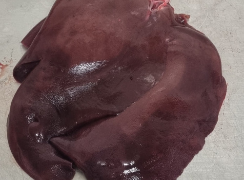 La Ferme du Montet - [SURGELÉ] Abat - FOIE - Porc Noir Gascon - 1,4kg