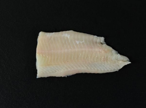 Poissonnerie Robert - Filet de Loup 500g
