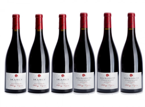 Domaine Tupinier Philippe - Lot De 2 Vins Rouges : Bourgogne Côte D'Auxerre Rouge 2016 Et Irancy AOC 2018- 6 Bouteilles