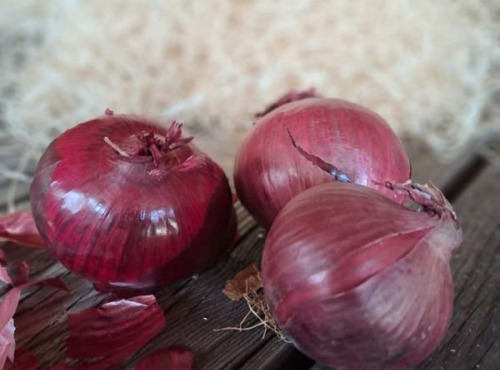 Les Jardins de Gérard - Oignon rouge Bio - 1 kg