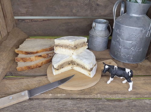 Boutique Boisette - Camembert fourré aux cèpes 280g