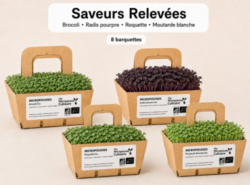 Ma Micropousse culinaire - Micro-pousses bio – Pack Saveurs Relevées – Brocoli, radis, roquette & moutarde – 8 barquettes