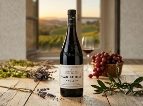 Domaine Lucien Tramier - AOC PLAN DE DIEU ROUGE 2024 LA COLLINE  BIO