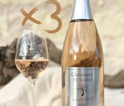 Domaine de la Chopinière du Roy - Lot de 3 bouteilles de Crémant de Loire Rosé Dry, Fines Bulles et Fruité AOP - 3x75 cl