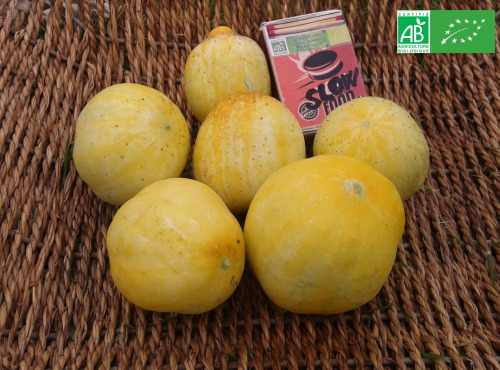 LES JARDINS DE KARINE - Concombres Lemon - 1kg