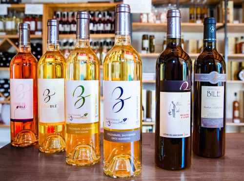 Domaine de Bilé - Prêt Pour L'apéro - IGP Côtes de Gascogne