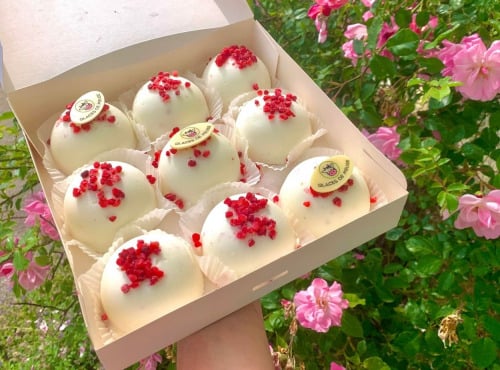 Glaces de Meuse - Dômes glacés - Noix de Coco x 9