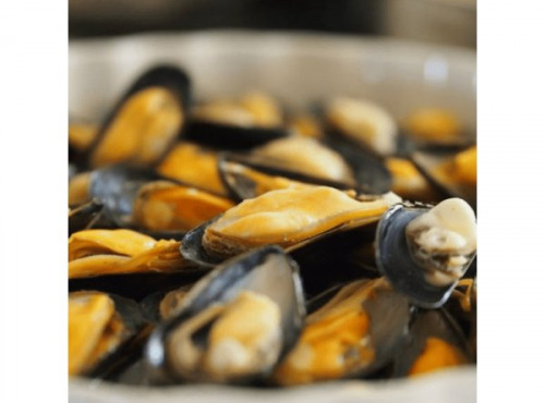 Poissonnerie Paon - Moule de Bouchot Penestin : Lot de 2 kg