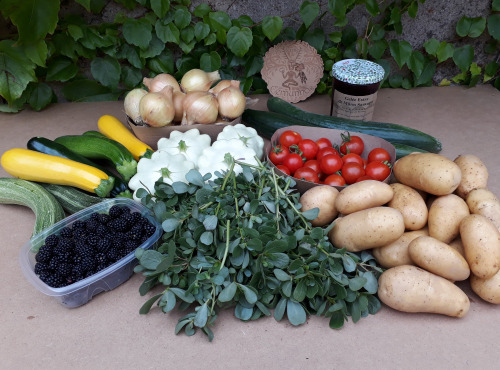 Ferme de Cernunnos - panier de fruits et légumes
