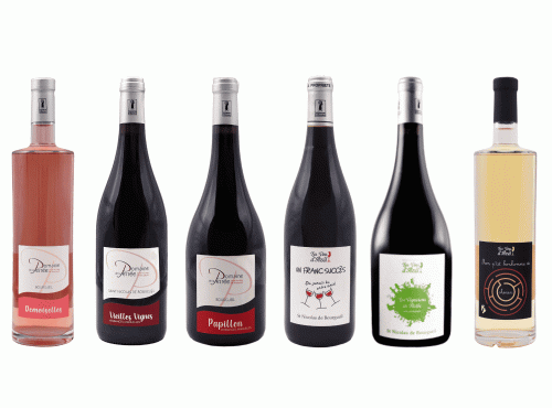 Domaine de la Perrée - Saint-Nicolas-de-Bourgueil & Bourgueil - Coffret Découverte 6 bouteilles
