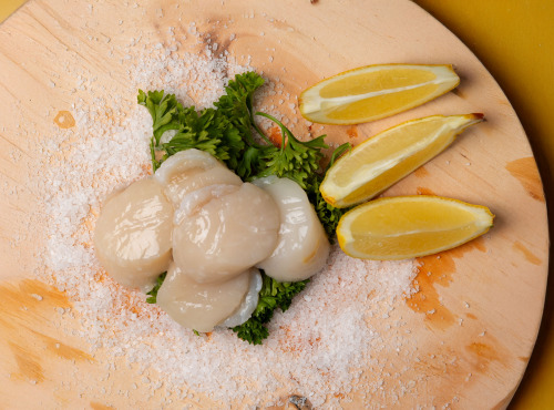 Pêcherie Granvillaise - Noix de Saint-Jacques de Normandie 1kg