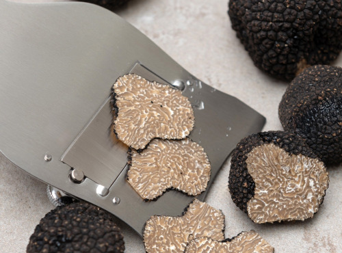 Plantin - L'art de la truffe depuis 1930 - Truffes d'été fraîches entières 250g