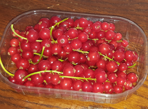 Le Domaine du Framboisier - Groseilles Grappes Fraîches en barquette de 125g