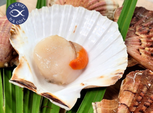 La Criée d'à Côté - Noix de Saint‑Jacques Bretonnes