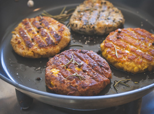 Les Saisissantes - Assortiment dégustation 4 recettes (soit 4 paquets de préparations végé de 220g)